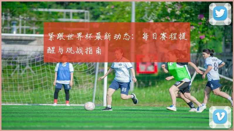 紧跟世界杯最新动态：每日赛程提醒与观战指南